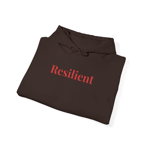 Resilient Embroidered Mirror Hoodie – Premium Oversized Unisex Affirmation