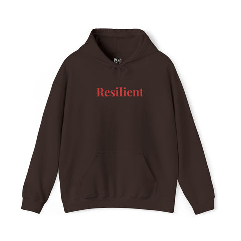 Resilient Embroidered Mirror Hoodie – Premium Oversized Unisex Affirmation