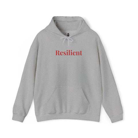 Resilient Embroidered Mirror Hoodie – Premium Oversized Unisex Affirmation