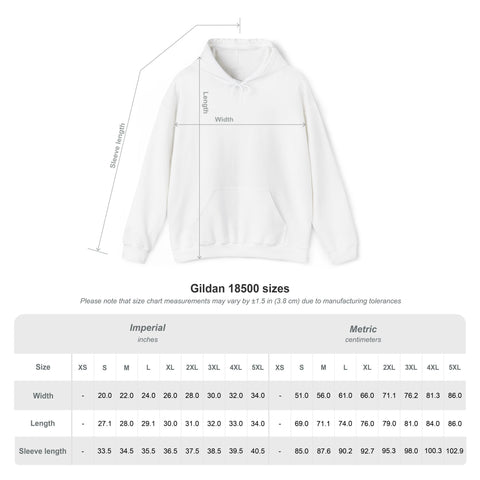 Resilient Embroidered Mirror Hoodie – Premium Oversized Unisex Affirmation